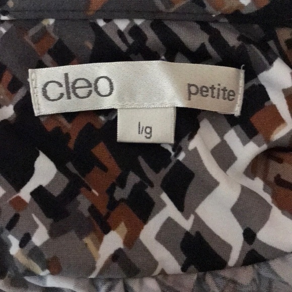 🤎NWOT🤎CLEO Dress🤎 - Picture 4 of 4